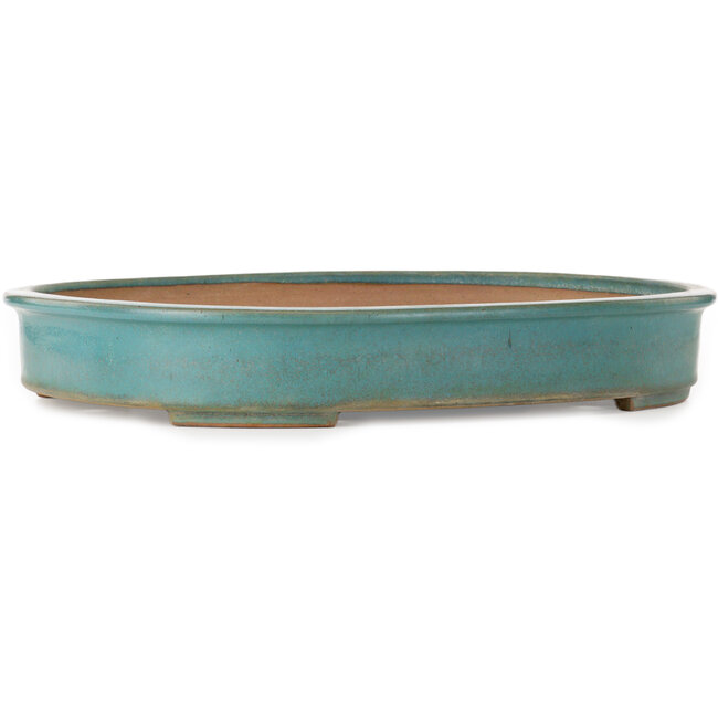 Oval green bonsai pot by Seizan (Reihou, Kataoka Katsushi, master Seizan kiln) - 500 x 388 x 75 mm