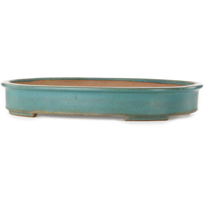 Oval green bonsai pot by Seizan (Reihou, Kataoka Katsushi, master Seizan kiln) - 500 x 388 x 75 mm