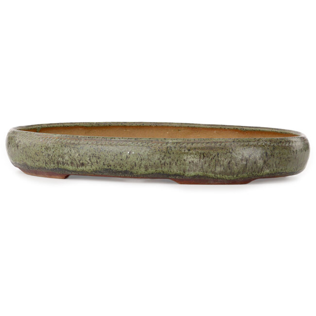 Ovaler grüner Bonsai-Topf von Peter Krebs – 465 x 325 x 64 mm