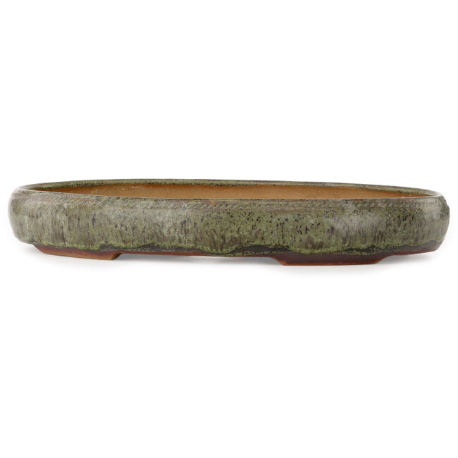 Maceta ovalada verde para bonsái de Peter Krebs - 465 x 325 x 64 mm