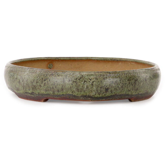 Ovaler grüner Bonsai-Topf von Peter Krebs – 465 x 325 x 64 mm