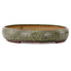 Maceta ovalada verde para bonsái de Peter Krebs - 465 x 325 x 64 mm