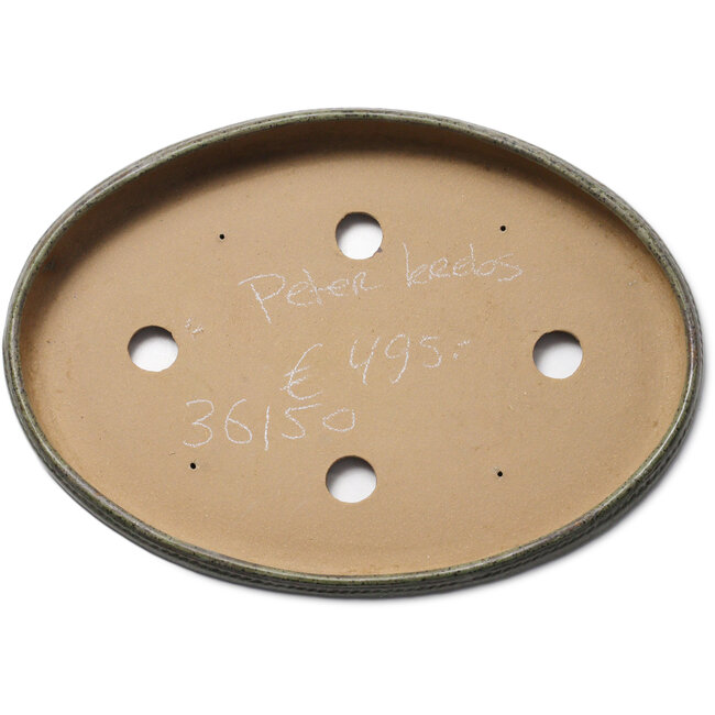 Maceta ovalada verde para bonsái de Peter Krebs - 465 x 325 x 64 mm