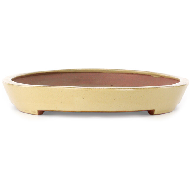 Oval beige bonsai pot by Seizan (Reihou, Kataoka Katsushi, master Seizan kiln) - 485 x 310 x 48 mm