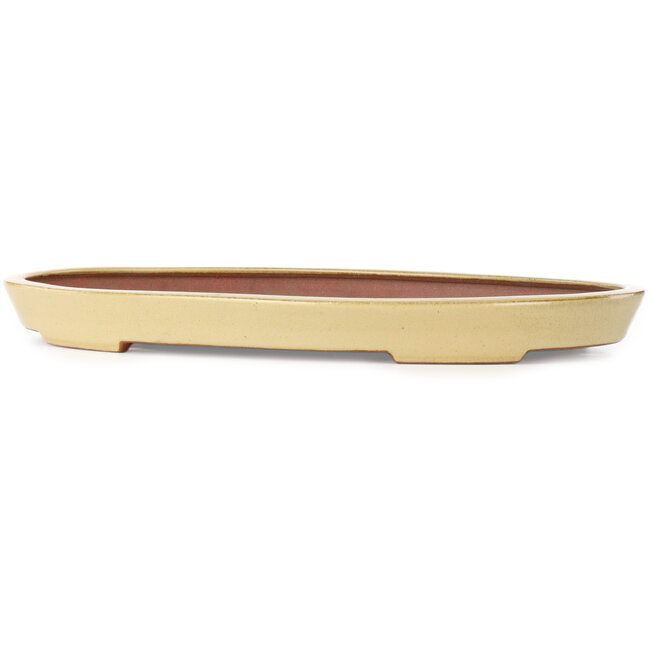 Ovale beige bonsaipot van Seizan (Reihou, Kataoka Katsushi, meester Seizan oven) - 485 x 310 x 48 mm