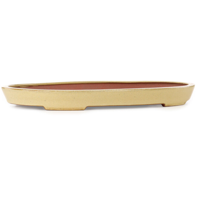 Oval beige bonsai pot by Seizan (Reihou, Kataoka Katsushi, master Seizan kiln) - 485 x 310 x 48 mm