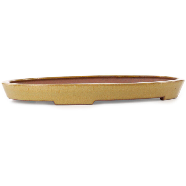 Oval beige bonsai pot by Seizan (Reihou, Kataoka Katsushi, master Seizan kiln) - 490 x 315 x 48 mm