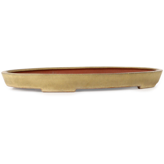 Oval beige bonsai pot by Seizan (Reihou, Kataoka Katsushi, master Seizan kiln) - 470 x 310 x 50 mm
