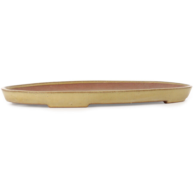 Ovale beige bonsaipot van Seizan (Reihou, Kataoka Katsushi, meester Seizan oven) - 475 x 305 x 40 mm