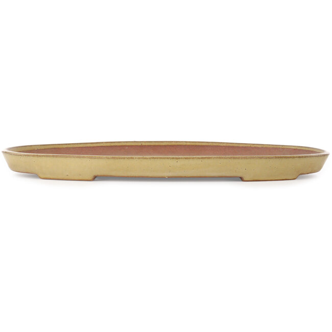 Oval beige bonsai pot by Seizan (Reihou, Kataoka Katsushi, master Seizan kiln) - 475 x 305 x 40 mm