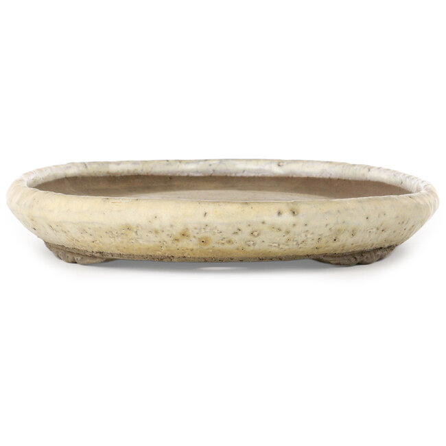 Pot à bonsaï ovale beige de Shuhou - 560 x 310 x 45 mm
