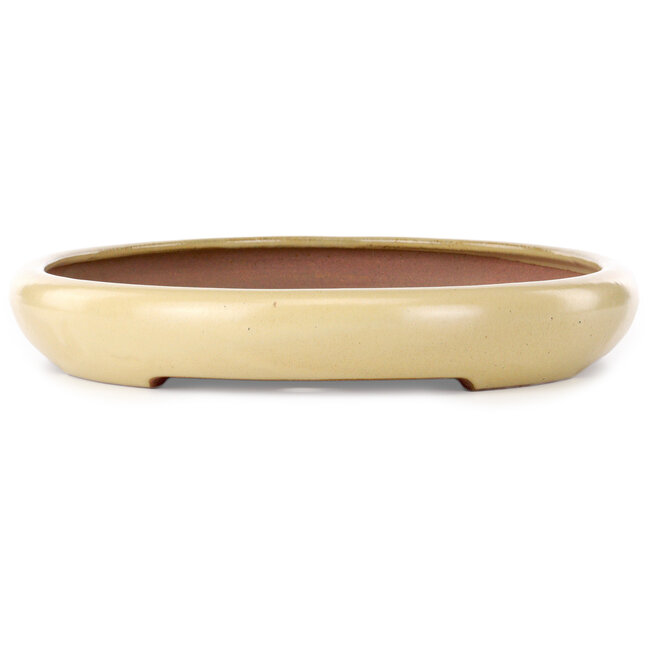 Oval beige bonsai pot by Seizan (Reihou, Kataoka Katsushi, master Seizan kiln) - 480 x 360 x 55 mm