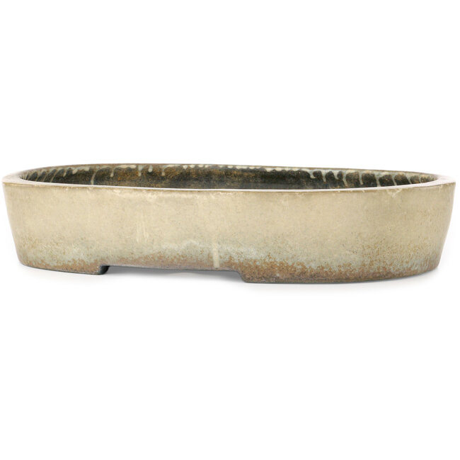 Ovale beige bonsaipot van Koyou - 465 x 355 x 95 mm