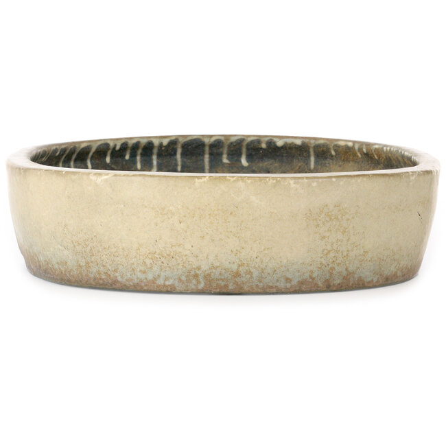 Maceta ovalada beige para bonsái de Koyou - 465 x 355 x 95 mm