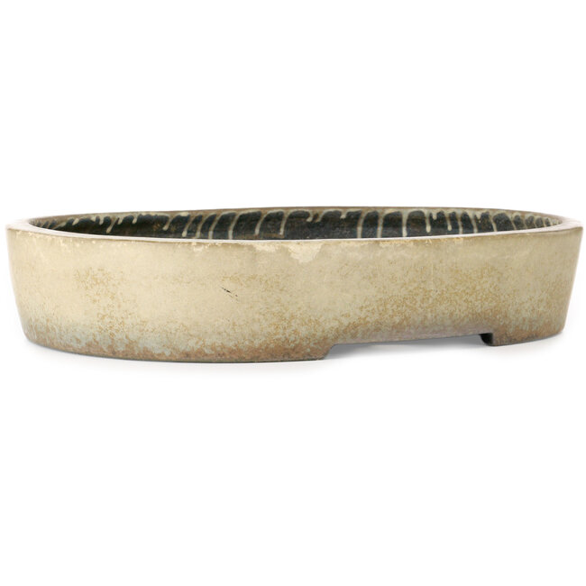 Maceta ovalada beige para bonsái de Koyou - 465 x 355 x 95 mm