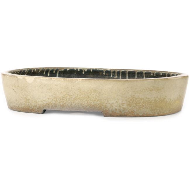 Maceta ovalada beige para bonsái de Koyou - 465 x 355 x 95 mm