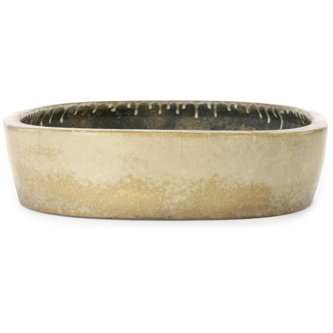 Ovale beige bonsaipot van Koyou - 465 x 355 x 95 mm