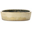 Pot à bonsaï ovale beige de Koyou - 465 x 355 x 95 mm