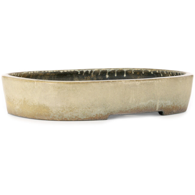 Oval beige bonsai pot by Koyou - 465 x 355 x 95 mm