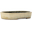 Oval beige bonsai pot by Koyou - 465 x 355 x 95 mm