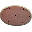 Pot à bonsaï ovale beige par Seizan (Reihou, Kataoka Katsushi, maître four Seizan) - 485 x 310 x 48 mm