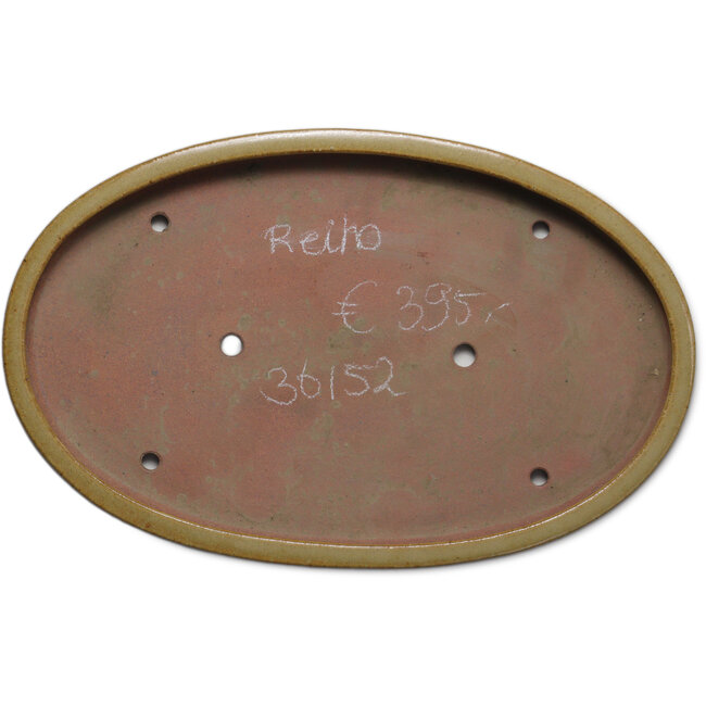 Maceta ovalada para bonsái beige de Seizan (Reihou, Kataoka Katsushi, maestro del horno Seizan) - 490 x 315 x 48 mm