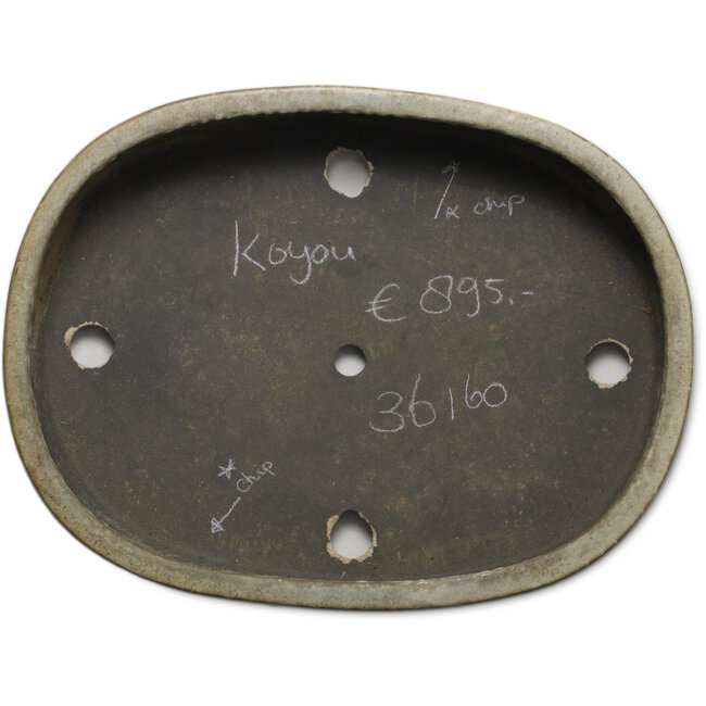 Oval beige bonsai pot by Koyou - 465 x 355 x 95 mm