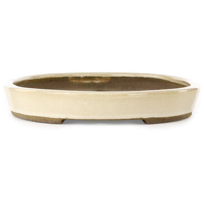 Pot à bonsaï ovale beige par Taizan - 475 x 340 x 50 mm