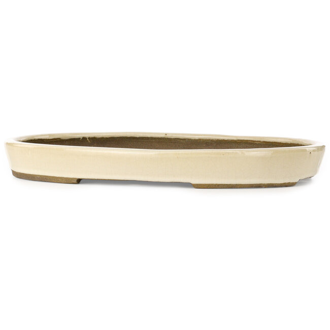 Pot à bonsaï ovale beige par Taizan - 475 x 340 x 50 mm