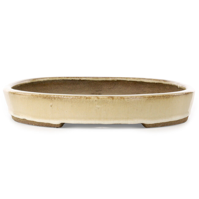 Pot à bonsaï ovale beige par Taizan - 470 x 330 x 50 mm
