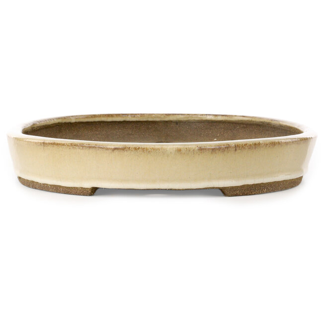 Pot à bonsaï ovale beige par Taizan - 470 x 330 x 50 mm
