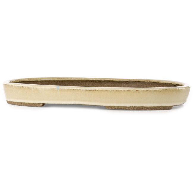 Oval beige bonsai pot by Taizan - 470 x 330 x 50 mm