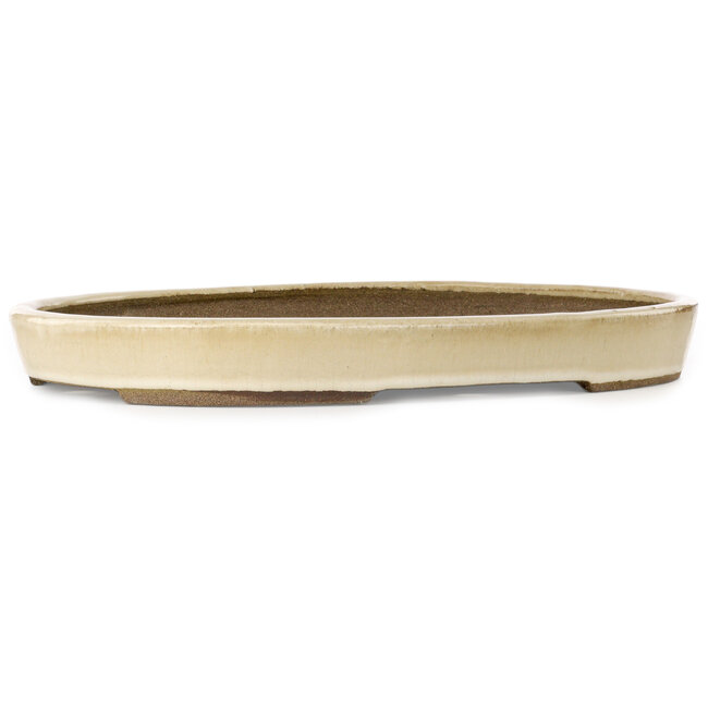 Oval beige bonsai pot by Taizan - 470 x 330 x 50 mm