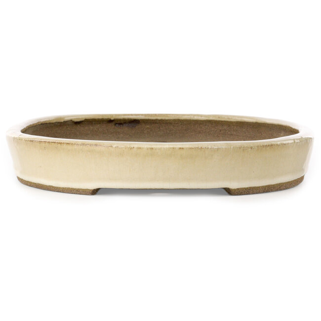 Pot à bonsaï ovale beige par Taizan - 470 x 330 x 50 mm