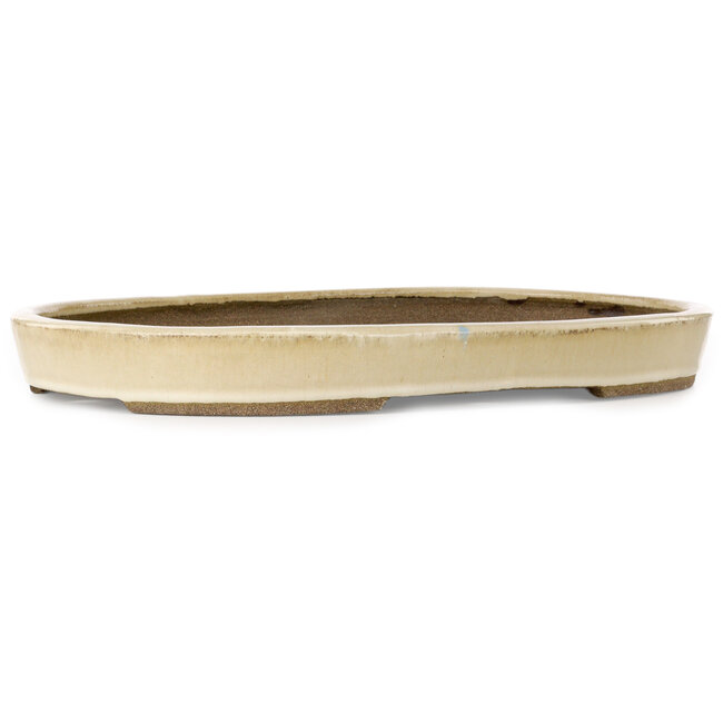 Vaso bonsai ovale beige di Taizan - 470 x 330 x 50 mm