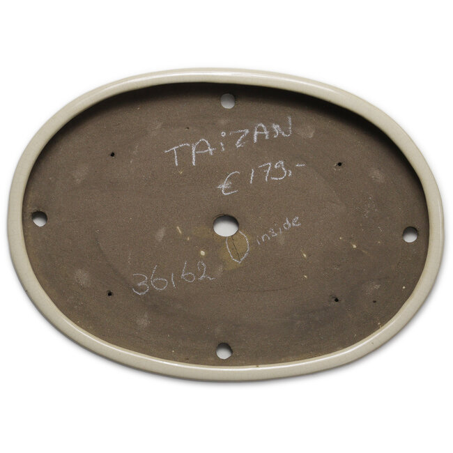 Vaso bonsai ovale beige di Taizan - 475 x 340 x 50 mm