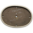 Pot à bonsaï ovale beige par Taizan - 475 x 340 x 50 mm