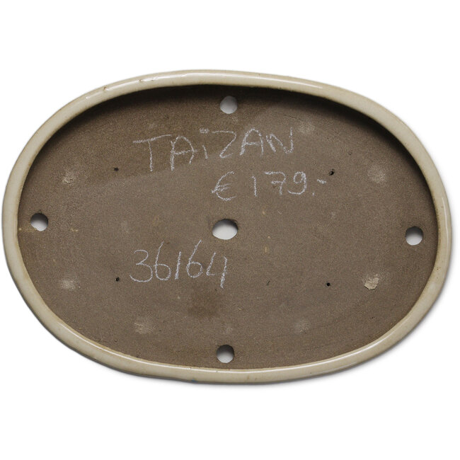 Vaso bonsai ovale beige di Taizan - 470 x 330 x 50 mm