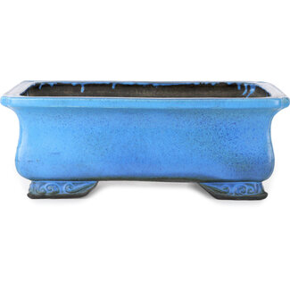 Koyo - Koichirou Aiba  Maceta rectangular azul para bonsái de 375 mm de Koyou, Tokoname, Japón