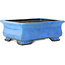 Pot à bonsaï rectangulaire bleu de Koyou - 375 x 280 x 140 mm