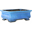 Rechteckiger blauer Bonsai-Topf von Koyou – 375 x 280 x 140 mm