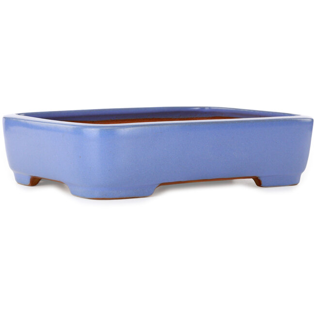Rechteckiger blauer Bonsai-Topf von Yamafusa – 380 x 290 x 90 mm