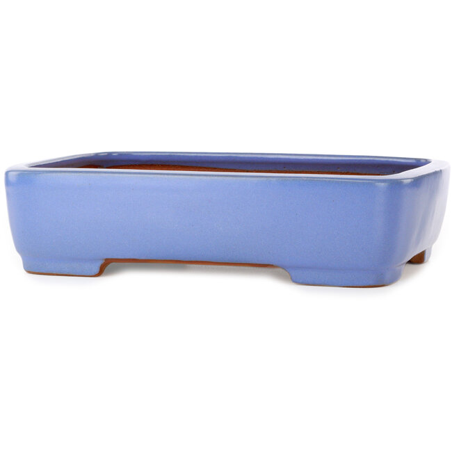 Vaso bonsai rettangolare blu di Yamafusa - 380 x 290 x 90 mm