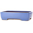 Rechteckiger blauer Bonsai-Topf von Yamafusa – 380 x 290 x 90 mm