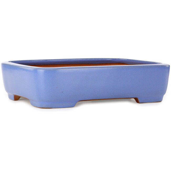 Maceta rectangular azul para bonsái de Yamafusa - 380 x 290 x 90 mm