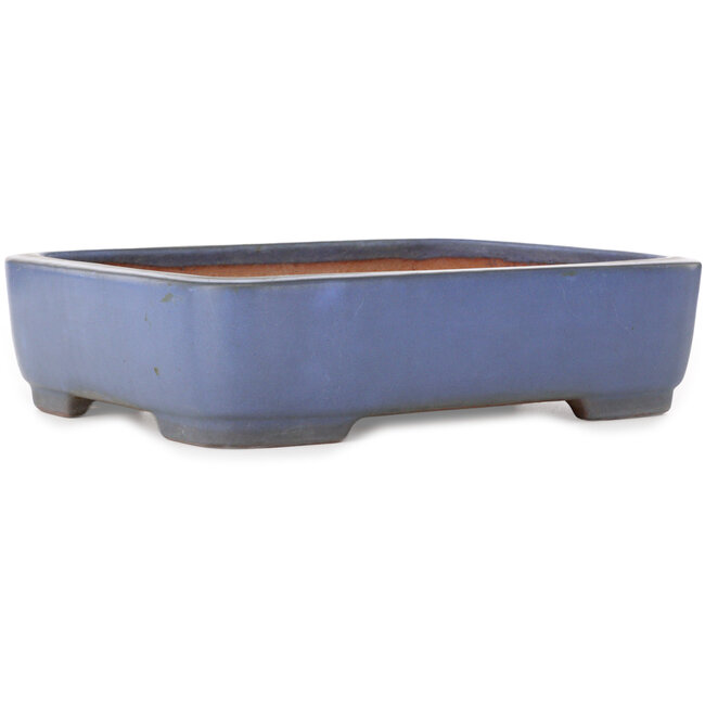 Vaso bonsai rettangolare blu di Yamafusa - 380 x 285 x 95 mm