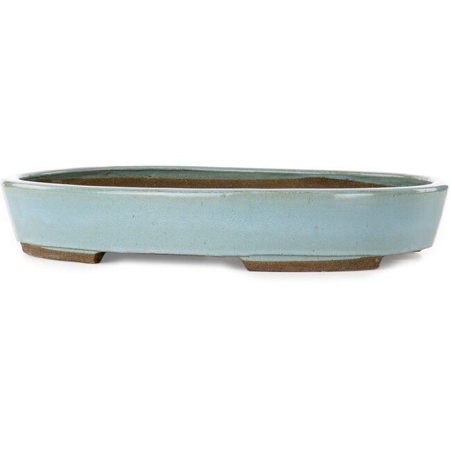 Oval blue bonsai pot by Taizan - 470 x 345 x 75 mm
