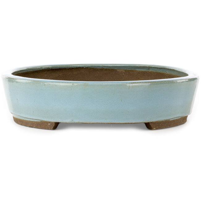 Ovaler blauer Bonsaitopf von Taizan – 470 x 345 x 75 mm