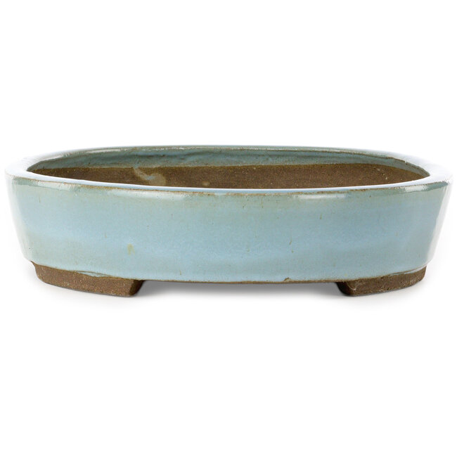 Maceta ovalada para bonsái azul de Taizan - 470 x 345 x 75 mm