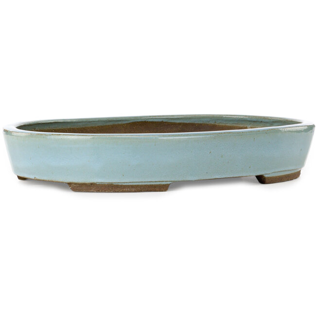 Maceta ovalada para bonsái azul de Taizan - 470 x 345 x 75 mm